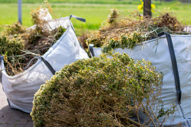 Best Carpet Removal and Disposal  in Bald Kno, AR